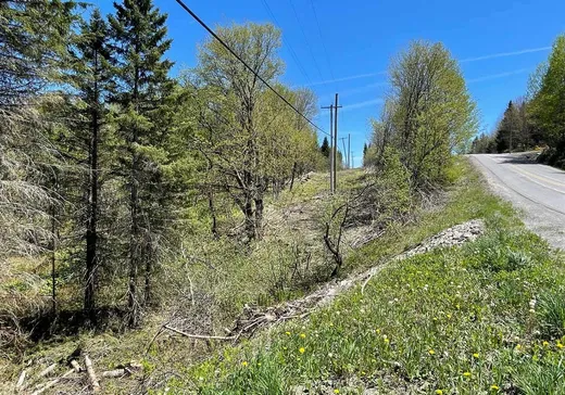 Land for Sale - Y Rue Principale, Ste-Helene-de-Chester, G0P 1H0