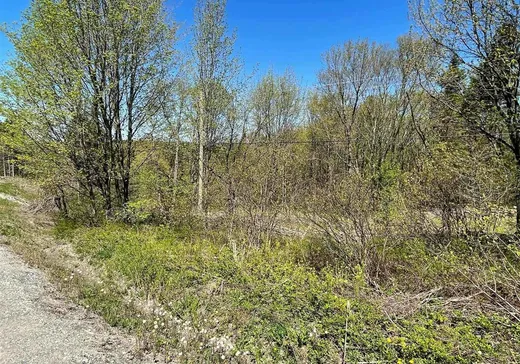 Land for Sale - Y Rue Principale, Ste-Helene-de-Chester, G0P 1H0