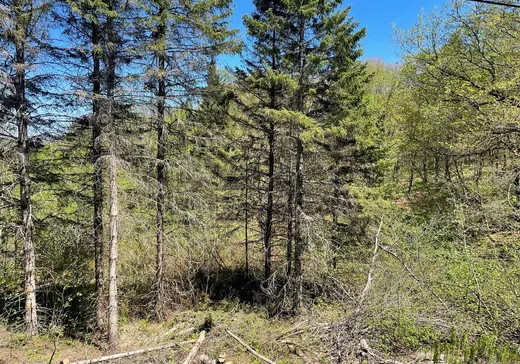Land for sale - X Rue Principale, Ste-Helene-de-Chester, G0P1H0