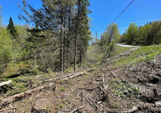 Land for Sale - X Rue Principale, Ste-Helene-de-Chester, G0P 1H0