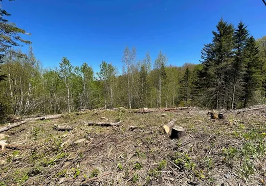 Land for Sale - X Rue Principale, Ste-Helene-de-Chester, G0P 1H0