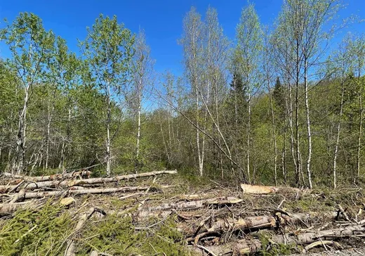 Land for Sale - X Rue Principale, Ste-Helene-de-Chester, G0P 1H0