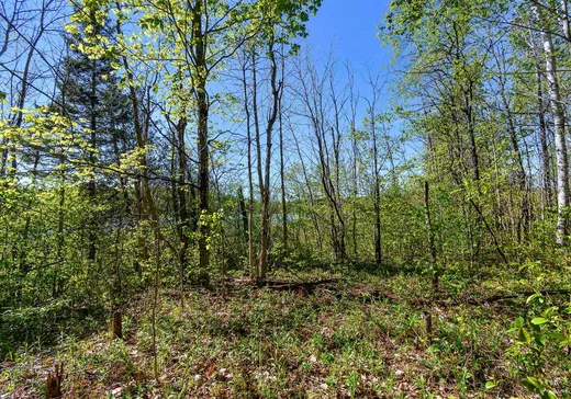 Terrain à vendre - 183B Route Principale E., Hull, J0X 2W0