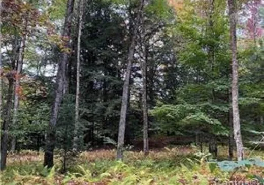 Land for Sale - Rue Madelein Rue Madeleine, St-Etienne-De-Bolton, J0E 2E0