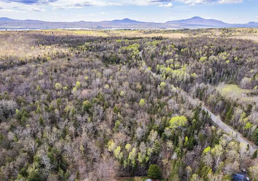 Land for Sale - 26 Ch. Laurendeau, Magog, J1X 0M6