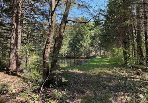 Terrain à vendre - 34 Chemin Caron, St-Fortunat, G0P1G0