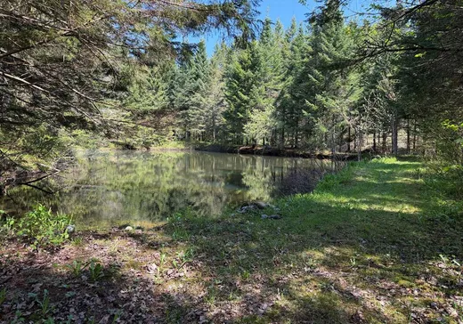 Terrain à vendre - 34 Chemin Caron, St-Fortunat, G0P 1G0
