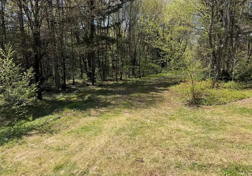 Terrain à vendre - 34 Chemin Caron, St-Fortunat, G0P 1G0