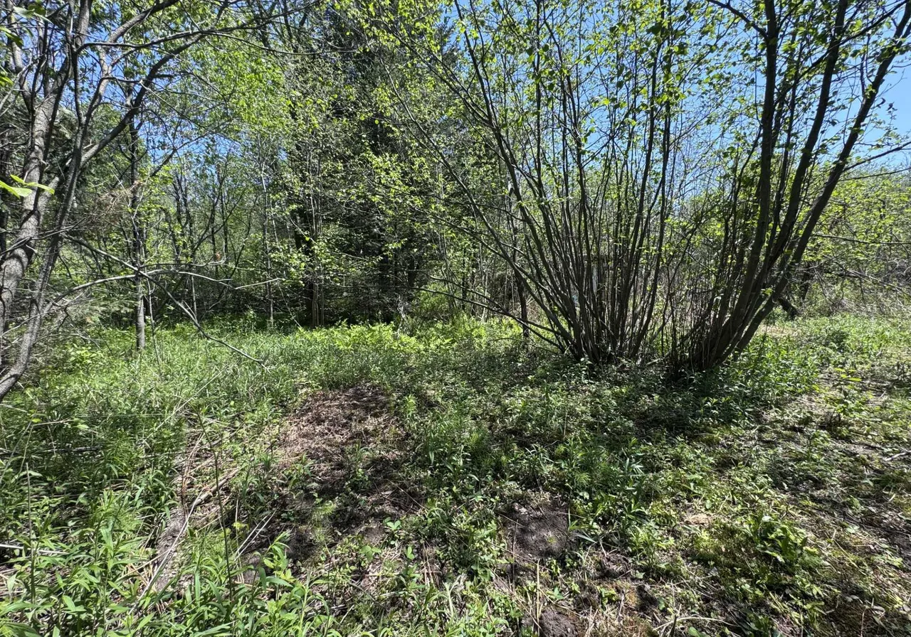 1790 Ch. Derome — photo 3