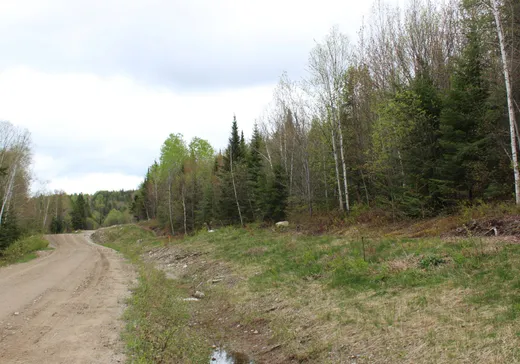 Land for Sale -  Rue des Pommiers, St-Come, J0K 2B0
