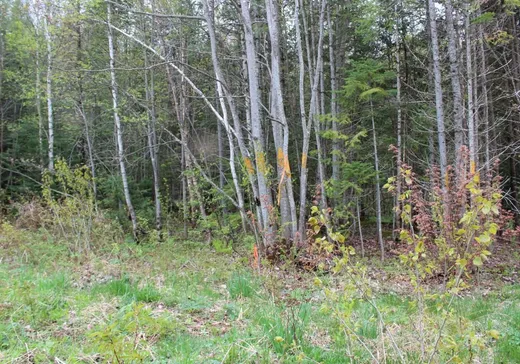 Land for Sale -  Rue des Pommiers, St-Come, J0K 2B0