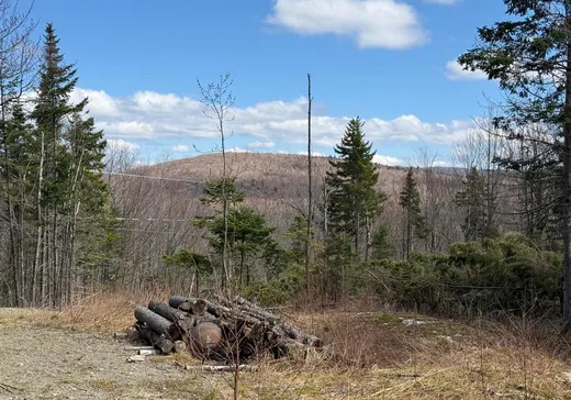 Terrain à vendre - 55 Ch. Maxime, Notre-Dame-Des-Boies, J0B2E0