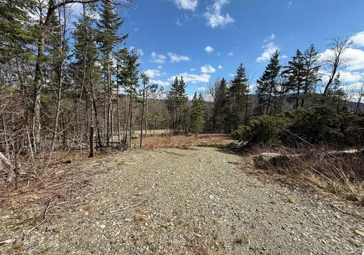 Terrain à vendre - 55 Ch. Maxime, Notre-Dame-Des-Boies, J0B 2E0