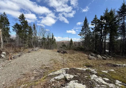 Terrain à vendre - 55 Ch. Maxime, Notre-Dame-Des-Boies, J0B 2E0