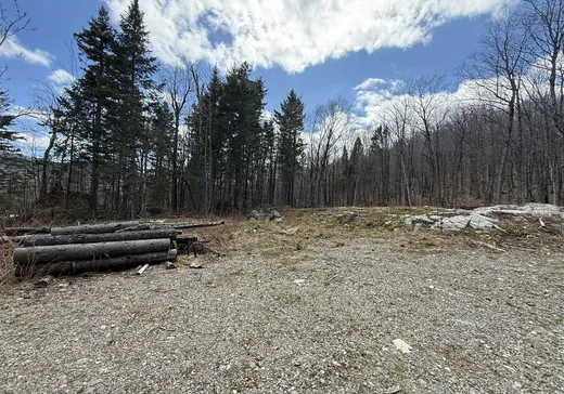 Terrain à vendre - 55 Ch. Maxime, Notre-Dame-Des-Boies, J0B 2E0