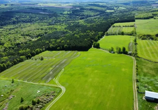 Terrain à vendre - 7613 Rg Hince, Chesterville, G0P 1J0