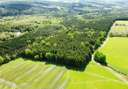 Terrain à vendre - 7613 Rg Hince, Chesterville, G0P 1J0