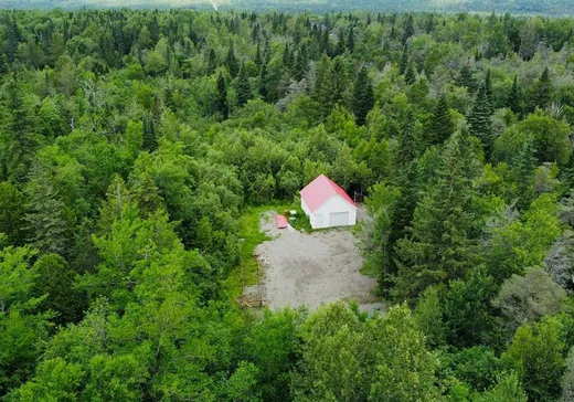 Terrain à vendre - 283 Route de l'Église, Notre-Dame-Des-Boies, J0B2E0