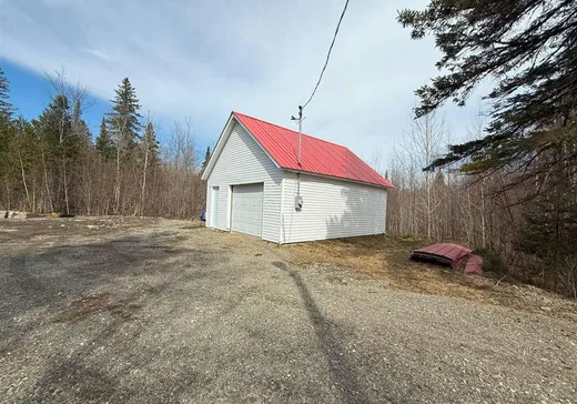 Terrain à vendre - 283 Route de l'Église, Notre-Dame-Des-Boies, J0B 2E0