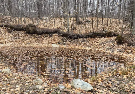 Land for Sale -  5e Rang, Ste-Julienne, J0K 2T0