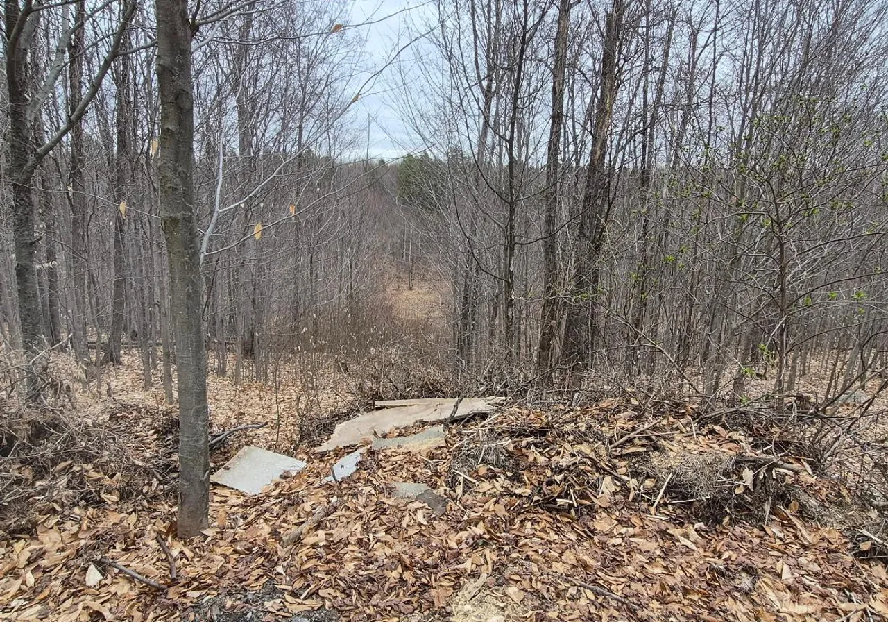 5e Rang — photo 3