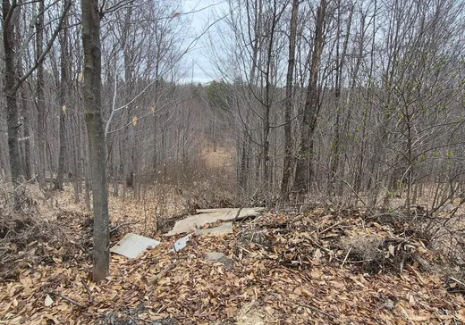 Land for Sale -  5e Rang, Ste-Julienne, J0K 2T0