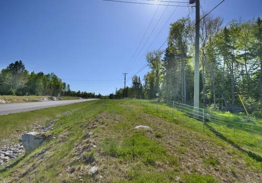 Terrain à vendre -  Route Bellerive, Rivière-Rouge, J0T 1T0