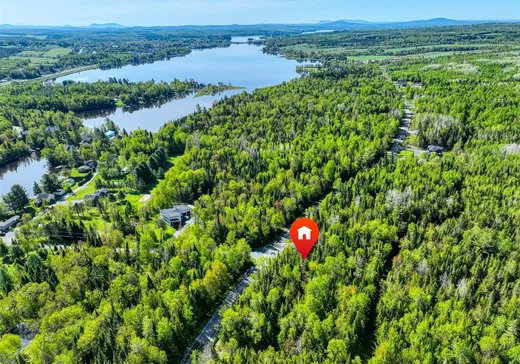 Land for sale - 8385 Ch. Turgeon, Thetford-Mines, G0N1E0
