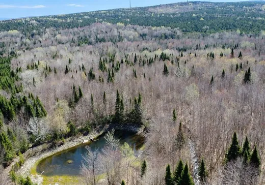 Land for Sale - 678 2e Rang, Kinnear's Mills, G0N 1K0