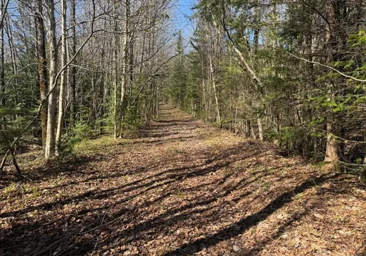 Land for Sale - 678 2e Rang, Kinnear's Mills, G0N 1K0