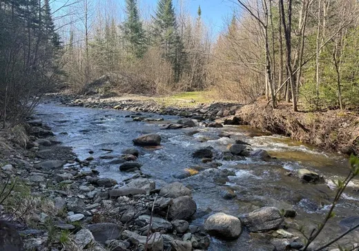 Land for Sale - 678 2e Rang, Kinnear's Mills, G0N 1K0