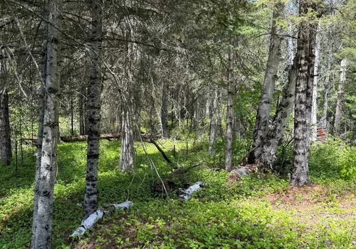 Land for Sale -  Boul. Fernand-Lafontaine, Rivière-Rouge, J0T 2X0