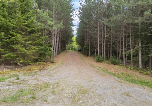 Terrain à vendre - Ch. Tanguay Ch. Tanguay, Cookshire-Eaton, J0B 1M0