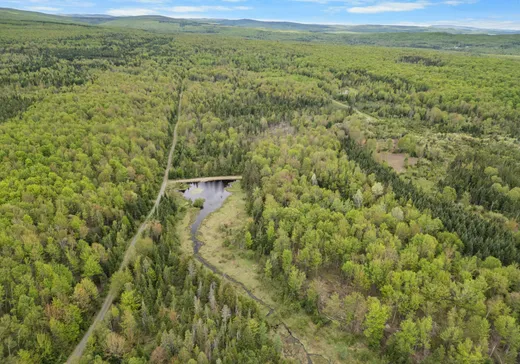 Terrain à vendre - Ch. Tanguay Ch. Tanguay, Cookshire-Eaton, J0B 1M0