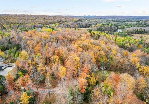 Land for Sale - 43 Rue Cabana, Eastman, J0E 1P0
