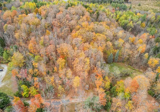Land for Sale - 43 Rue Cabana, Eastman, J0E 1P0