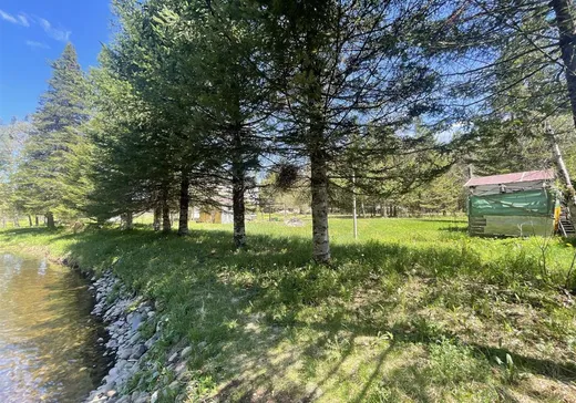 Land for Sale - 30 Ch. Éloi, Bury, J0B 1J0