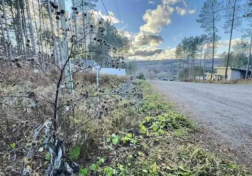 Land for Sale - 310 Rue des Cerisiers, Dixville, J0B 1P0
