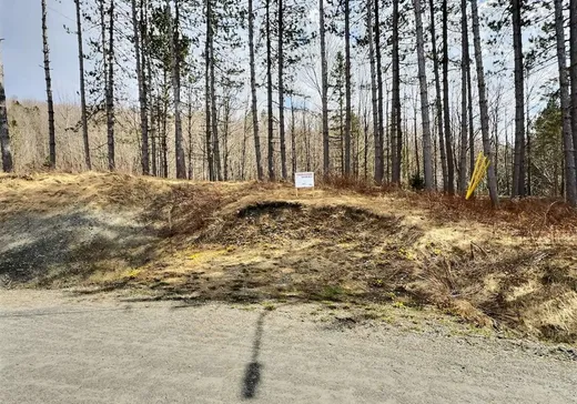 Land for Sale - 310 Rue des Cerisiers, Dixville, J0B 1P0