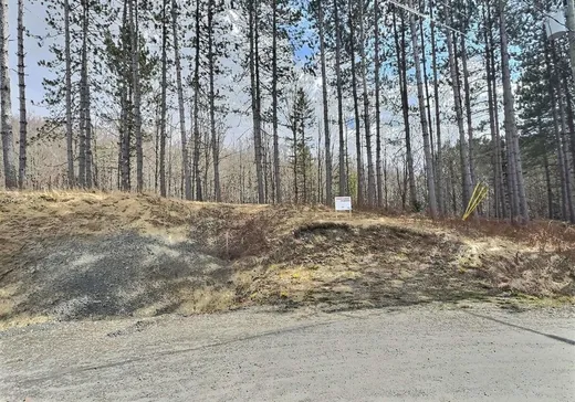 Land for Sale - 310 Rue des Cerisiers, Dixville, J0B 1P0