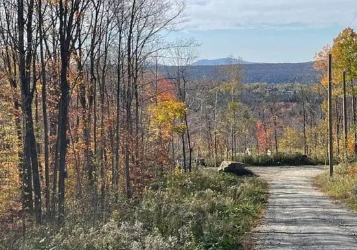 Terrain à vendre -  Ch. de l'Escalade, Eastman, J0E 1P0