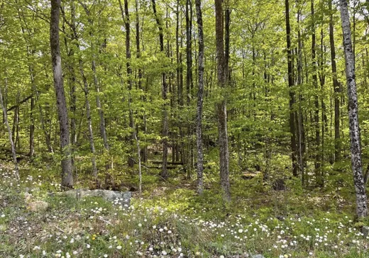 Terrain à vendre -  Ch. de l'Escalade, Eastman, J0E 1P0