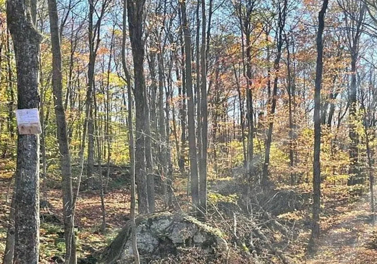 Ch. de l'Escalade — photo 3