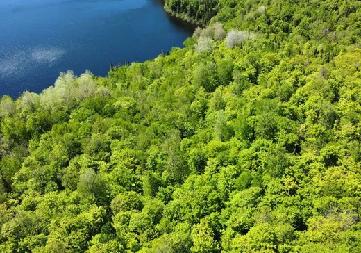 Terrain à vendre -  Ch. du Petit-Lac-Génier, Mont-Laurier, J0W 1H0