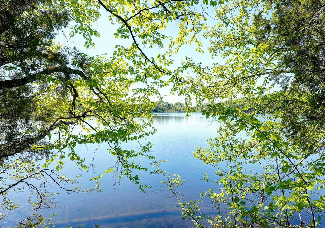 Ch. du Petit-Lac-Génier — photo 2