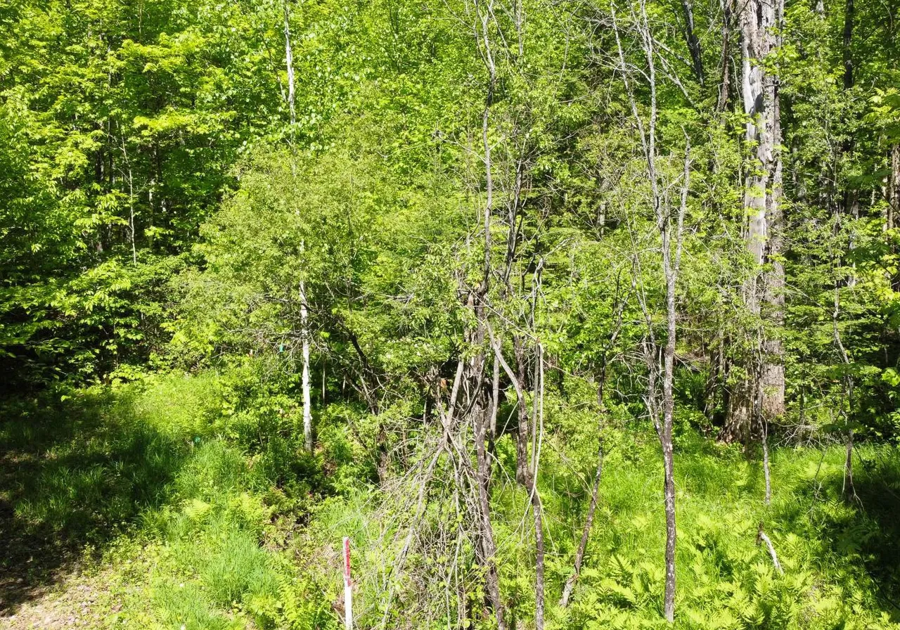 Ch. du Petit-Lac-Génier — photo 3