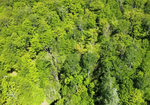 Terrain à vendre -  Ch. du Petit-Lac-Génier, Mont-Laurier, J0W 1H0