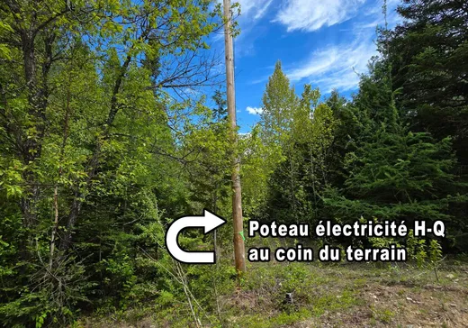 Terrain à vendre -  Av. Marilène, Chertsey, J0K 3K0