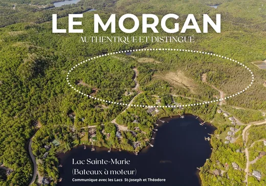 Land for sale - 23 Ch. Morgan, St-Adolphe d'Howard, J0T2B0