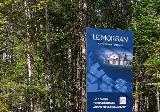 Land for Sale - 23 Ch. Morgan, St-Adolphe d'Howard, J0T 2B0